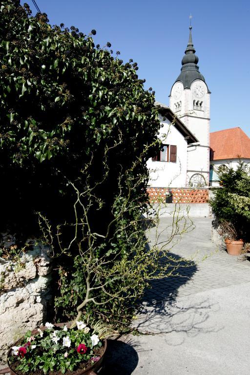 Baroque Villa Near Bled - Resort Vidmar Lesce  Eksteriør billede